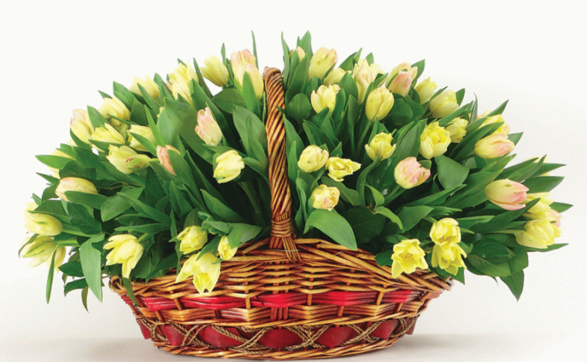 Реклама доставки цветов и цветочного магазина