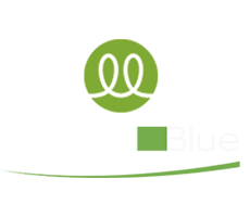 Разработка сайта natura-blue.kz