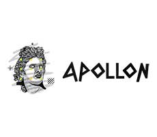Создание веб-сайта Apollon
